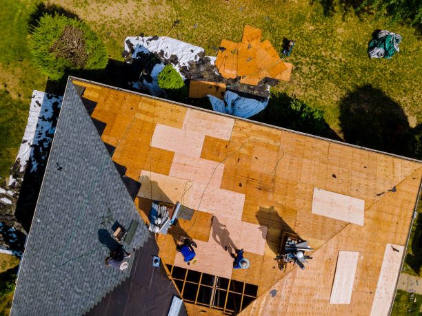 Best Commercial Roofing Services  in Guntersville, AL