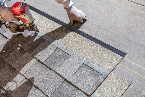 Best Roof Maintenance Services  in Guntersville, AL